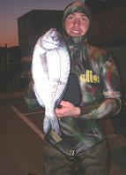 balck bream spearfishing