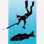 British Spearfishing Association